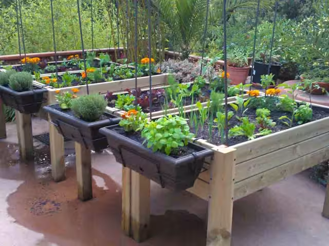 Campeche, en primer lugar de niños con sobrepeso.