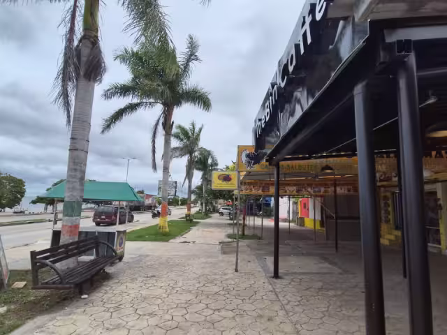 Comerciantes del malecón de Champotón enfrentan crisis económica por la lentitud en las obras de rehabilitación.