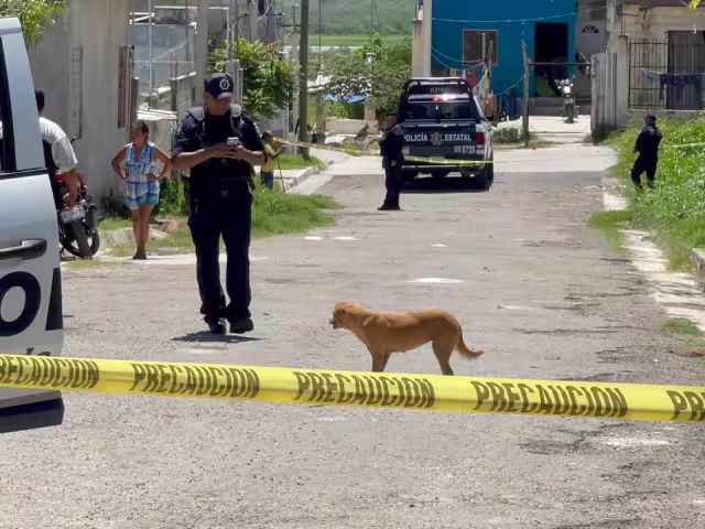 Llaman a denunciar casos de maltrato animal para judicializar agresiones
