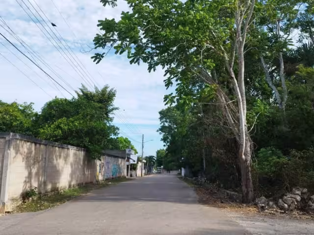 Los hombres escaparon de lugar llevándose herramientas de trabajo como martillos, flexómetros  y cepillos