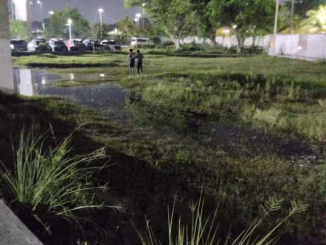 “Dinero hay, falta voluntad”: denuncian condiciones críticas en centro deportivo