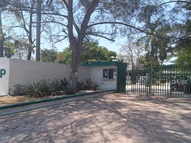 Más de 900 alumnos se han visto perjudicados