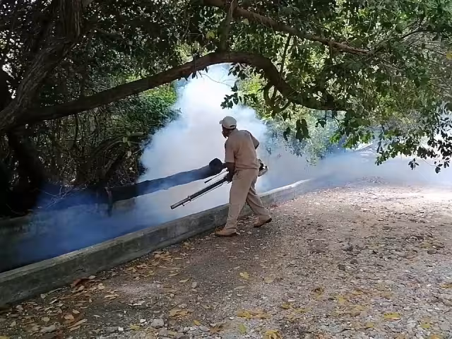 En Palizada se han reportado 25 casos