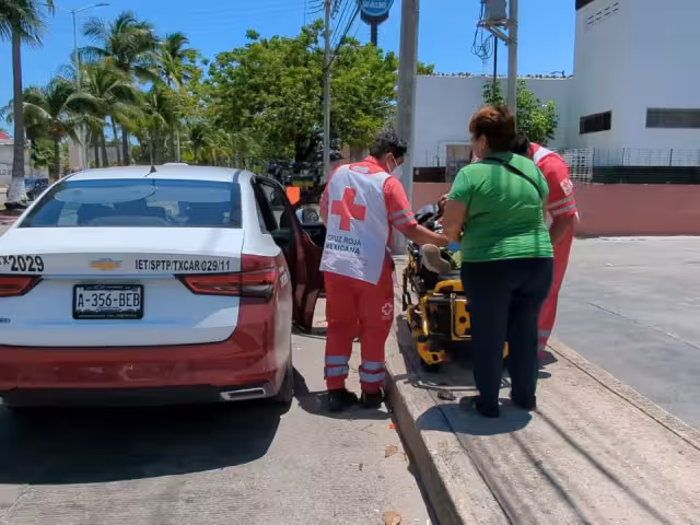 Grave incidente en Tierra y Libertad: pasajero es atacado por serpiente