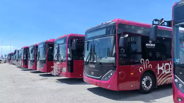 El nuevo sistema de transporte Koox comenzará operaciones este 2 de agosto en Campeche.