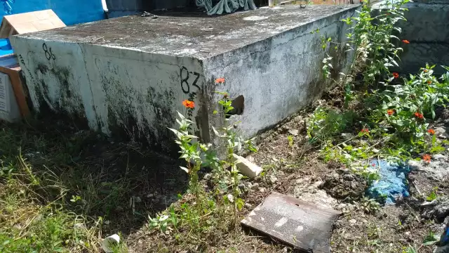 Se reportó otra profanación de tumba en el cementerio El Nuevo, en la colonia La Jeringa