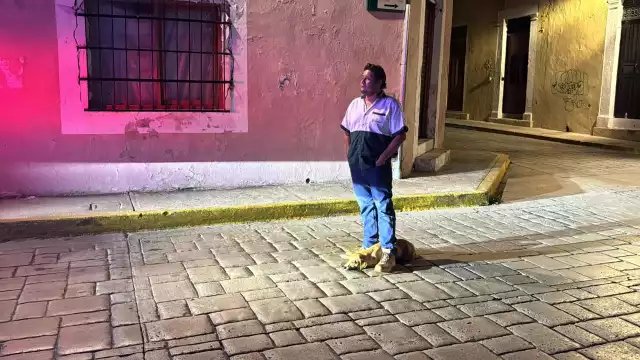 Una perrita en condición de calle fue atropellada en la calle 10 con 61 del Centro Histórico de Campeche.