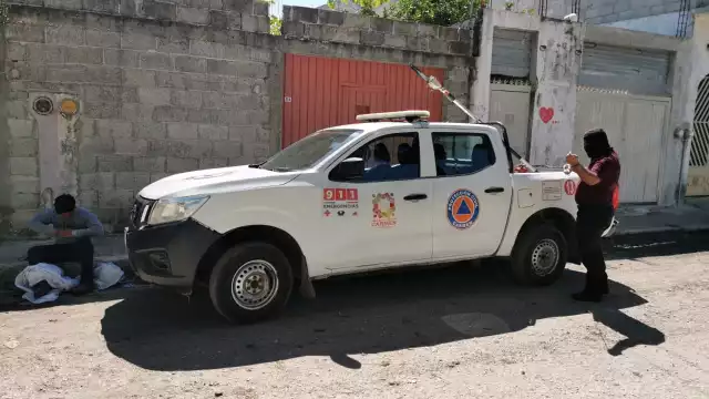 Emergencia por abejas africanas moviliza a Protección Civil en Campeche
