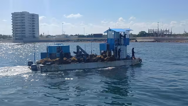 La presencia del sargazo genera grandes afectaciones en materia de turismo