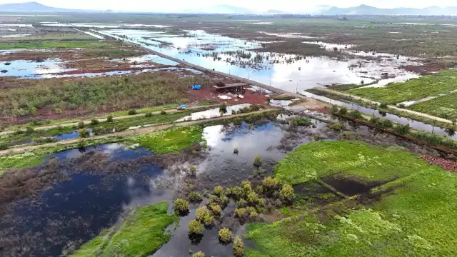 Gobierno instaura Corredor emergente de movilidad segura para el traslado de extranjeros