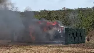 FGR ha detenido a 82 personas en Campeche por delitos federales durante el primer semestre del 2024