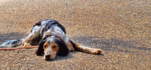 Indigna actitud de atleta