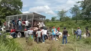 Ley Antirapiña es ‘letra muerta’: Congreso exige firmeza en Campeche