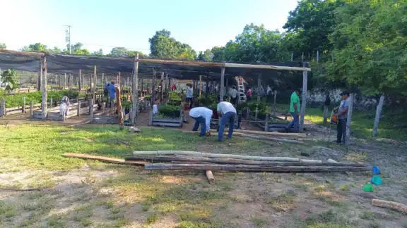 Sobrevive campesino a rayo en Huatusco