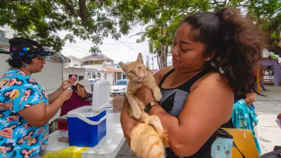 A la titular de la dependencia le preocupa el envenenamiento de gatos, por ser una crueldad.