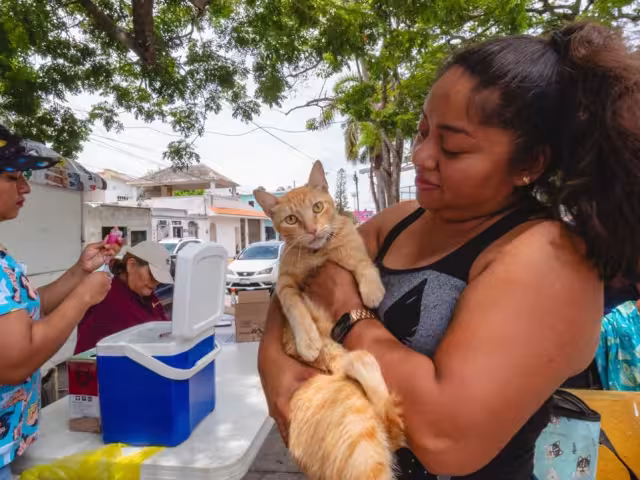 A la titular de la dependencia le preocupa el envenenamiento de gatos, por ser una crueldad.