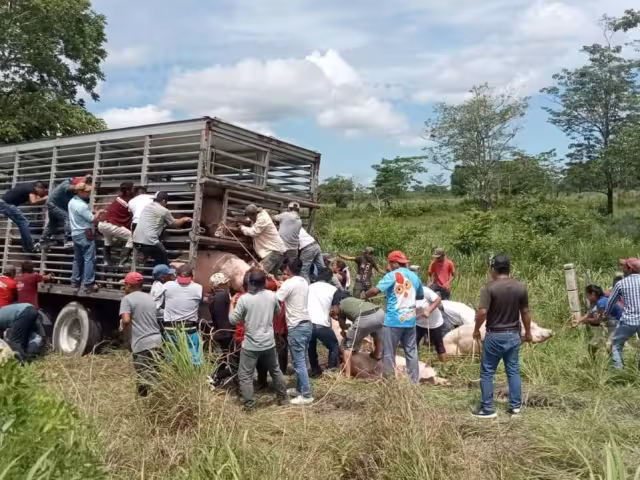 Aún con la evidencia documentada no hay detenidos por estos hechos.