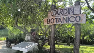 Jardín Botánico Regional Carmen impulsa conservación de manglares y biodiversidad