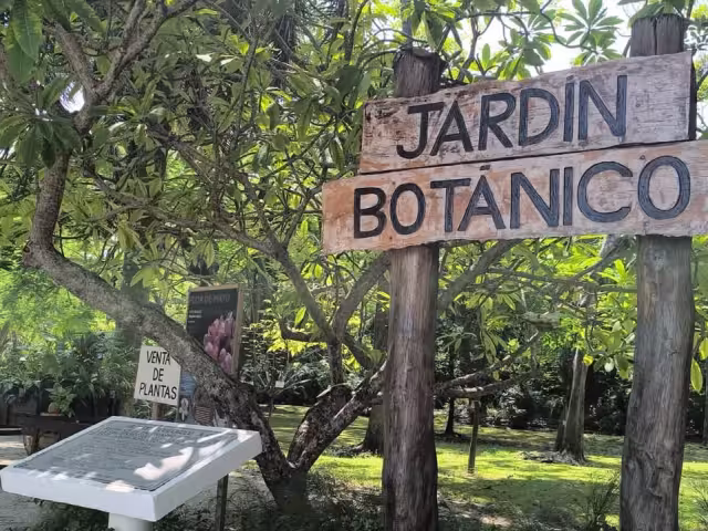 Ciudad del Carmen celebra el Día Nacional de los Jardines Botánicos con talleres y venta de plantas
