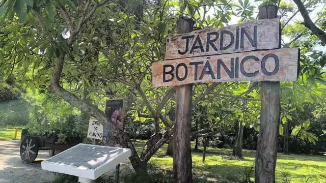 Ciudad del Carmen celebra el Día Nacional de los Jardines Botánicos con talleres y venta de plantas
