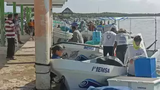 Pescadores temen un inicio tardío de la temporada de pulpo por las interrupciones constantes