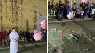 Caso “Cantaritos”: violencia contra animales en Calkiní llega a investigación federal