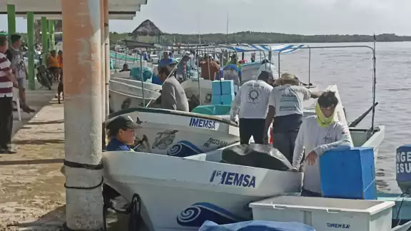Pescadores temen un inicio tardío de la temporada de pulpo por las interrupciones constantes