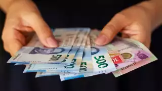 Más de 20 mil empresas de Quintana Roo tendrán que pagar utilidades