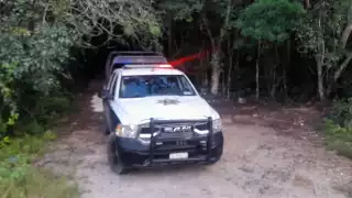 La búsqueda fue realizada en la comunidad de José María Pino Suárez