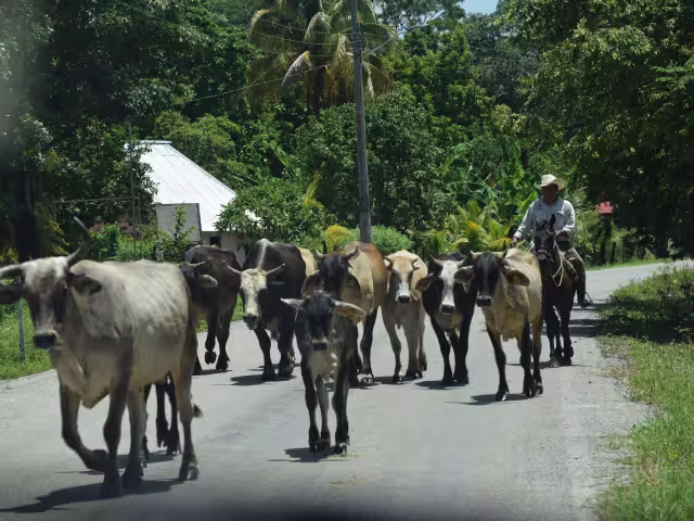 La Entidad es la única de toda la Península que tiene reporte de “Sequía Anormal”.