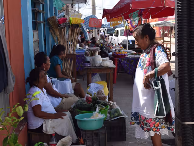 Más de 91 mil personas mayores de tres años hablan alguna lengua indígena en el Estado, según el Censo de Población 2020 del Inegi