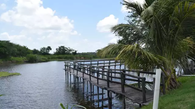 Con el registro se podría conocer su impacto en las zonas agrícolas y sitios prehispánicos.