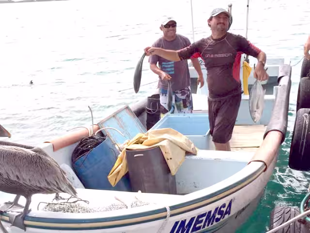 Hace dos décadas, el producto de mar era más común que el pollo o el cerdo en la mesa de las familias isleñas; todo cambió