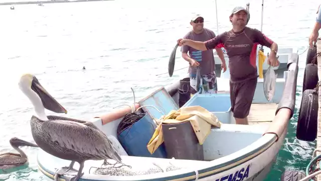 Hace dos décadas, el producto de mar era más común que el pollo o el cerdo en la mesa de las familias isleñas; todo cambió