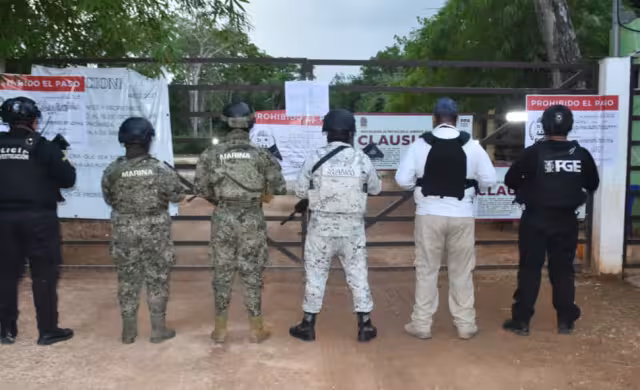 Aseguran predio en la “Ruta de los Cenotes” por presunto delito ambiental en Puerto Morelos