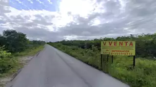 El 12 de agosto, en la zona de Puerto Morelos y Leona Vicario, elementos de la Fiscalía General del Estado realizaron operativos contra desarrollo irregulares