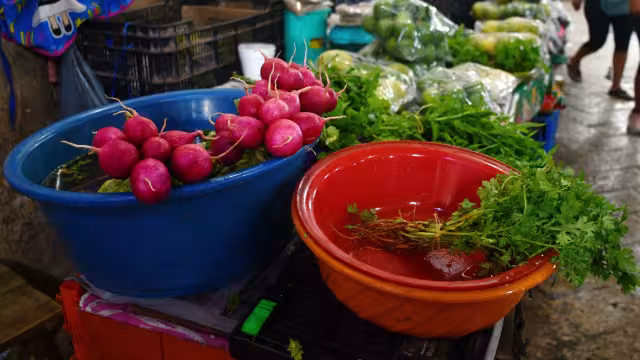 La bolsa de cilantro se vende en 10 pesos