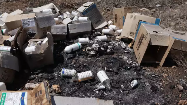 El mal uso de pesticidas y otros químicos son la principal causa de la muerte de abejas en los chenes