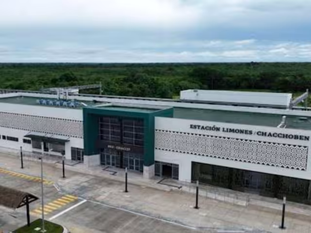 Hombre fallece durante obras del Tren Maya en Limones.