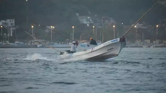 Esta temporada dejó en evidencia la alta dependencia del buceo y otras artes ilegales para alcanzar las cifras reportadas