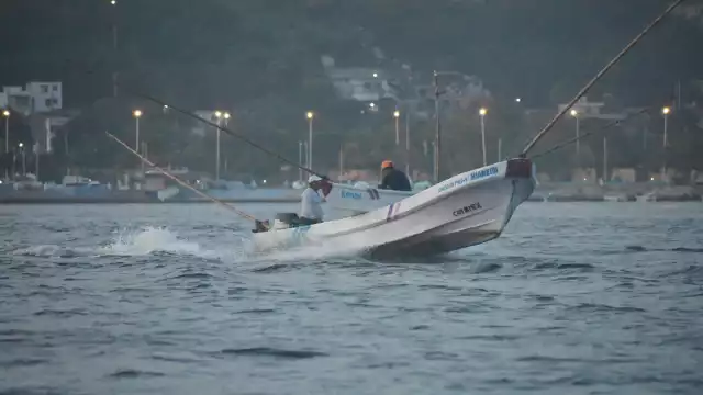 Esta temporada dejó en evidencia la alta dependencia del buceo y otras artes ilegales para alcanzar las cifras reportadas