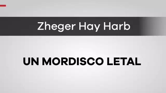 Opinión en Por Esto!