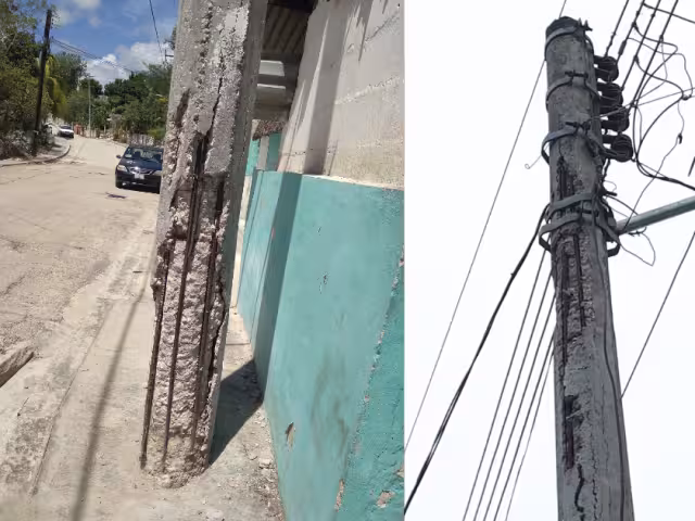 Representan un peligro para la ciudadanía.