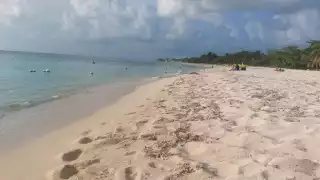 Playas de Cozumel aptas para las vacaciones de verano según Cofepris, ¿cuáles son?