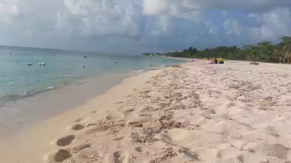 Se exhortó a la ciudadanía reportar cualquier tipo de anomalía en las aguas de las playas Se exhortó a la ciudadanía reportar cualquier tipo de anomalía en las aguas de las playas