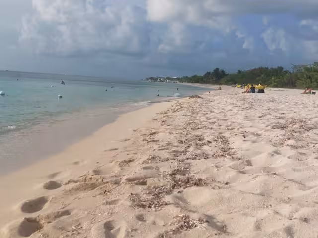 Se exhortó a la ciudadanía reportar cualquier tipo de anomalía en las aguas de las playas