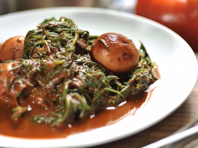 Romero fresco o seco 