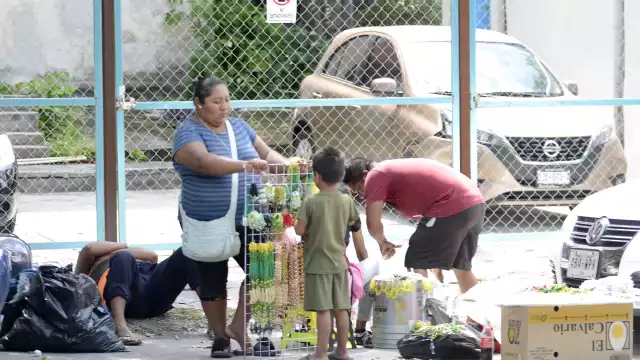 Muchos de estos provienen de estados como Chiapas; se afincan en el Caribe Mexicano por unos meses y vuelven a su tierra.