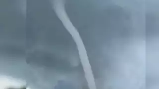 VIDEO: Así fue el momento en el que un tornado destruye árboles en Michoacán