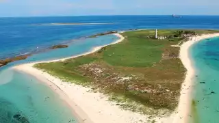Cayo Arcas, entre corales y plataformas en Campeche